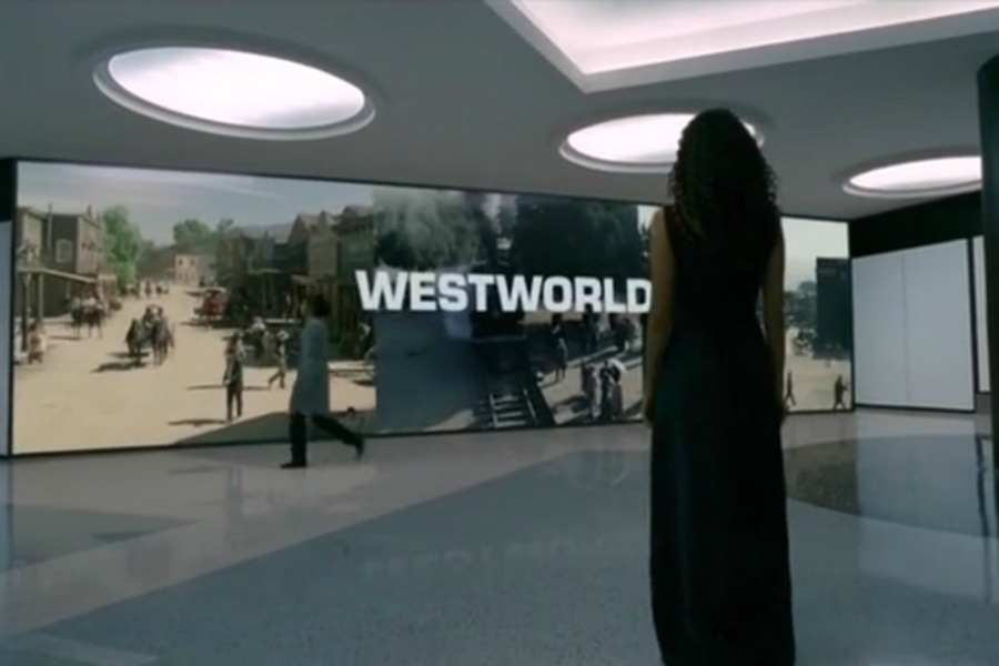 westworld the adversary