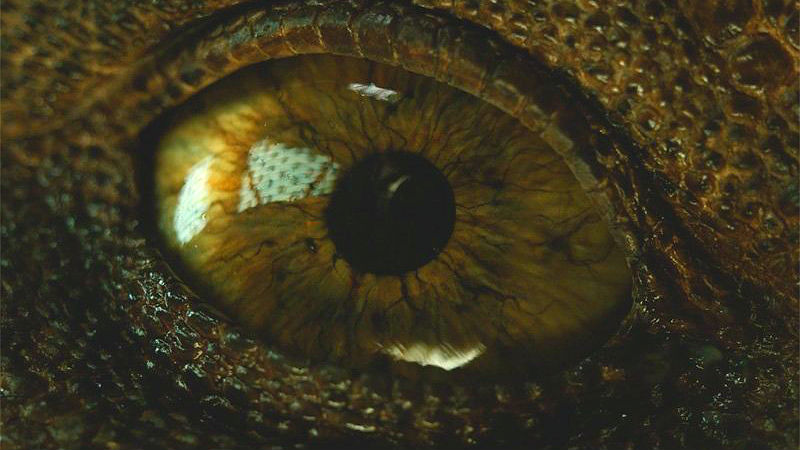 JURASSIC WORLD 05