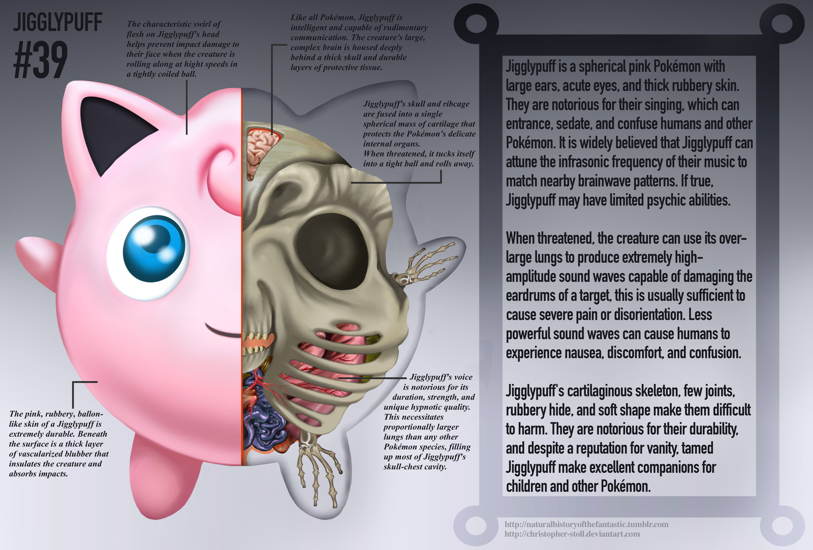 PokeNatomy jigglypuff