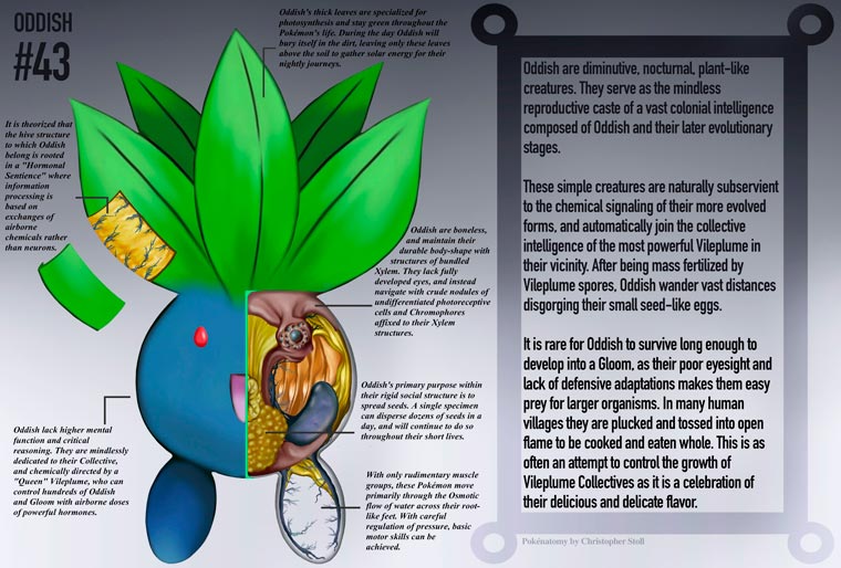 PokeNatomy oddish