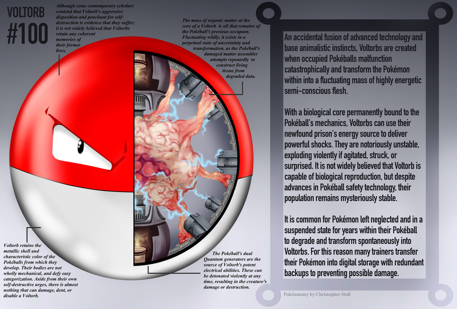 PokeNatomy voltorb