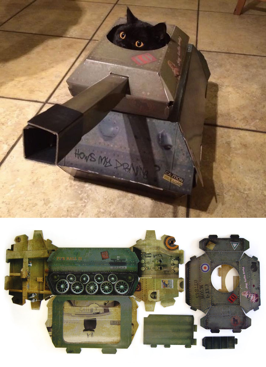 CARRO ARMATO PER GATTI SUCK UK