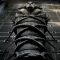 La Mummia: recensione del nuovo film con Tom Cruise